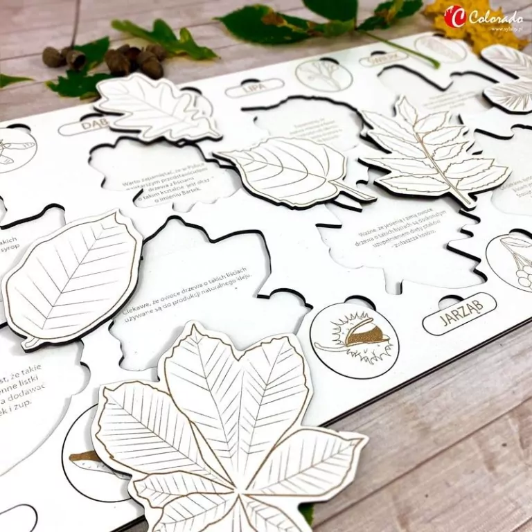 Liście i owoce drzew - tantis.pl