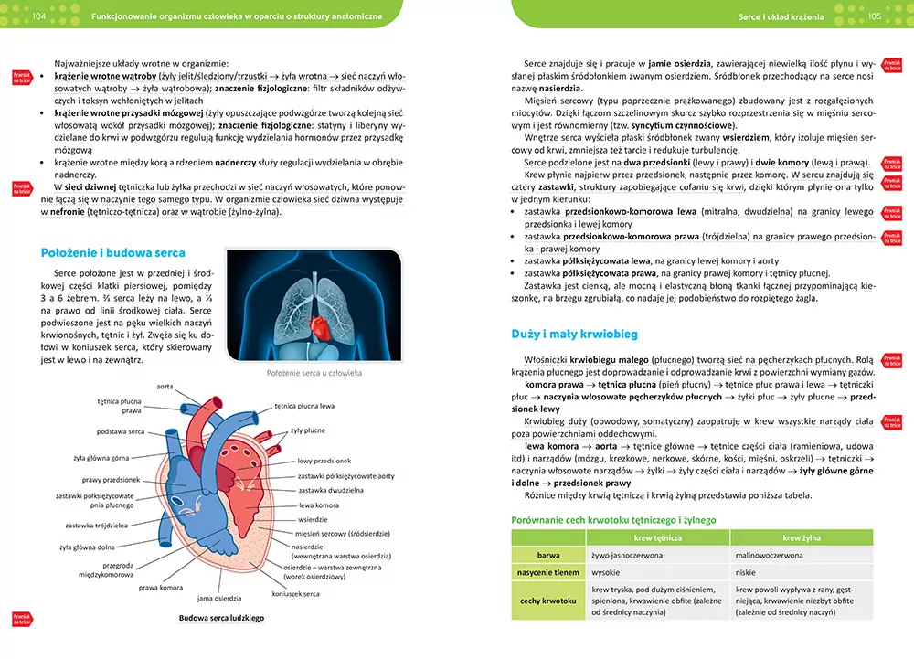 Biologia. Repetytorium. Liceum/technikum wyd. 2026 - tantis.pl