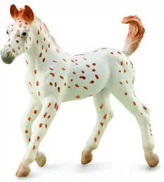 Koń Knabstrupper Foal - tantis.pl