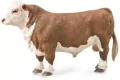 Byk hereford - tantis.pl
