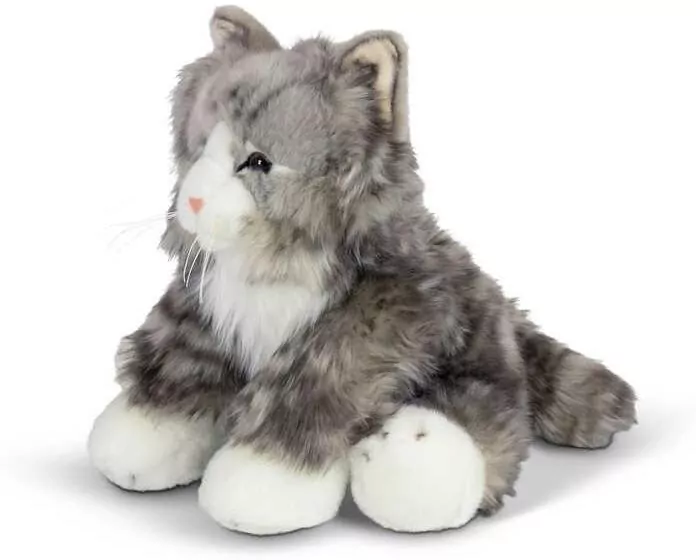 Puszysty Kot - tantis.pl
