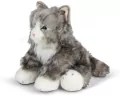 Puszysty Kot - tantis.pl