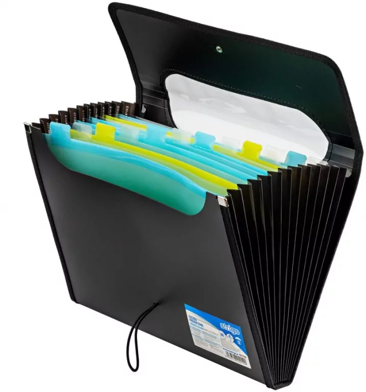 Strigo. Teczka A4 z 12 przekładkami V-file, czarna - tantis.pl