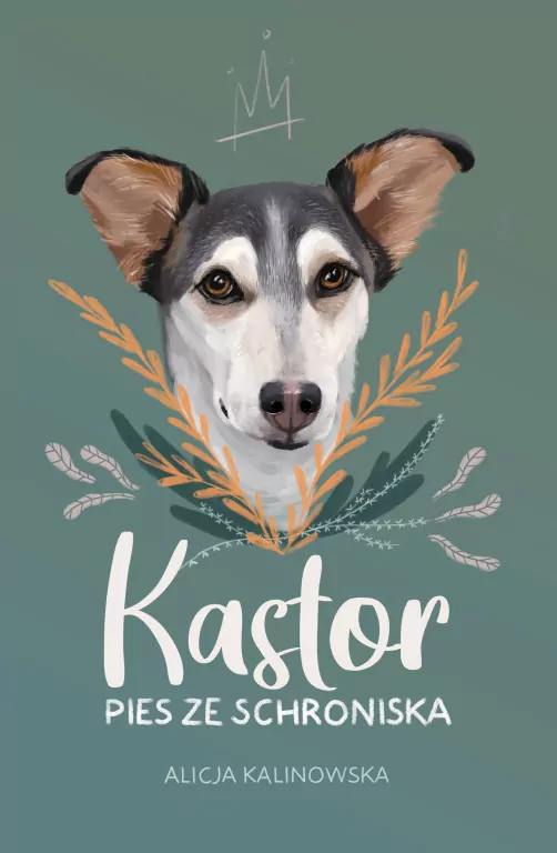 Kastor. Pies ze schroniska - tantis.pl
