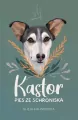 Kastor. Pies ze schroniska - tantis.pl