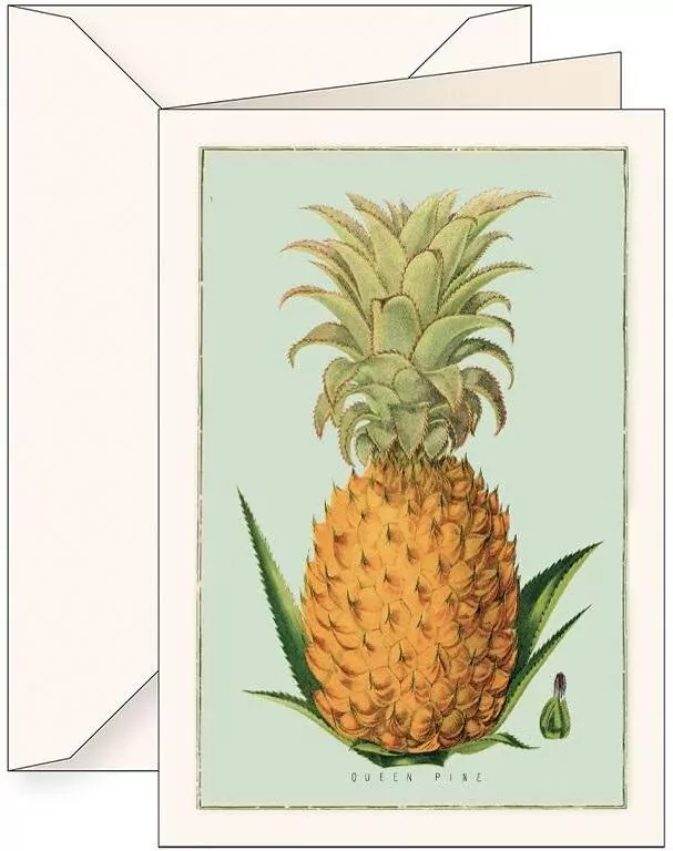 Karnet B6 + koperta. Ananas - tantis.pl