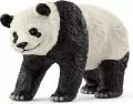 Panda Wielka - tantis.pl