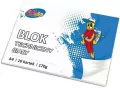 Blok techniczny A4 170g 10 kartek - tantis.pl