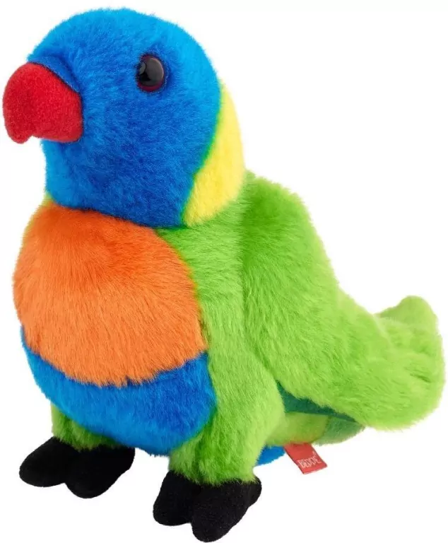 Lorysa górska 20cm - tantis.pl