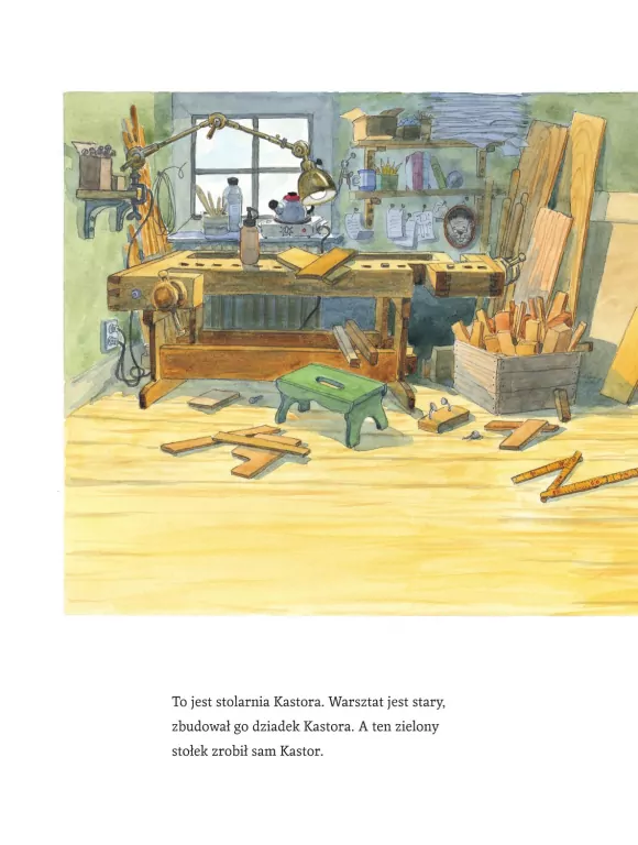 Kastor majsterkuje - tantis.pl