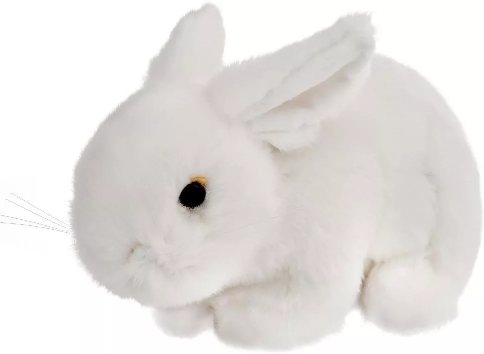 Króliczek biały 18cm - tantis.pl