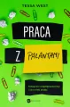 Praca z palantami - tantis.pl