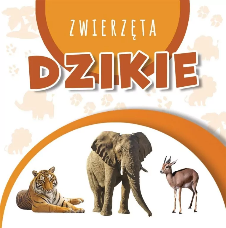 Wstęgi kartonowe. Dziekie Zwierzęta - tantis.pl