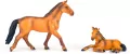 KONIK W ZAGRODZIE AKC 28X22X6 PUD - tantis.pl