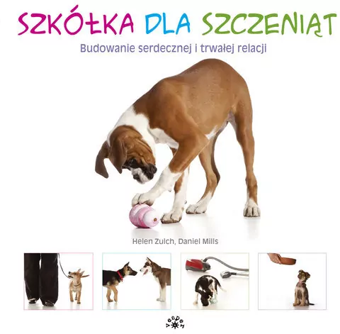 Szkółka dla szczeniąt - tantis.pl