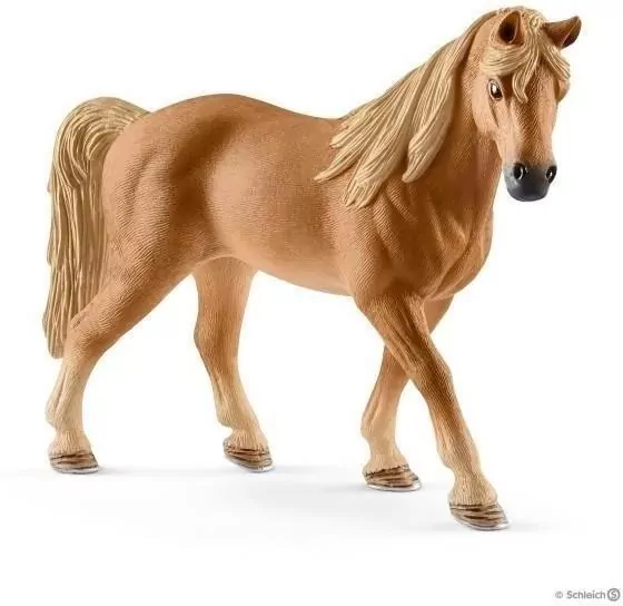 Klacz Rasy Tenessee Walker 13833 - tantis.pl