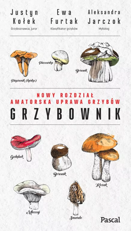 Grzybownik - tantis.pl