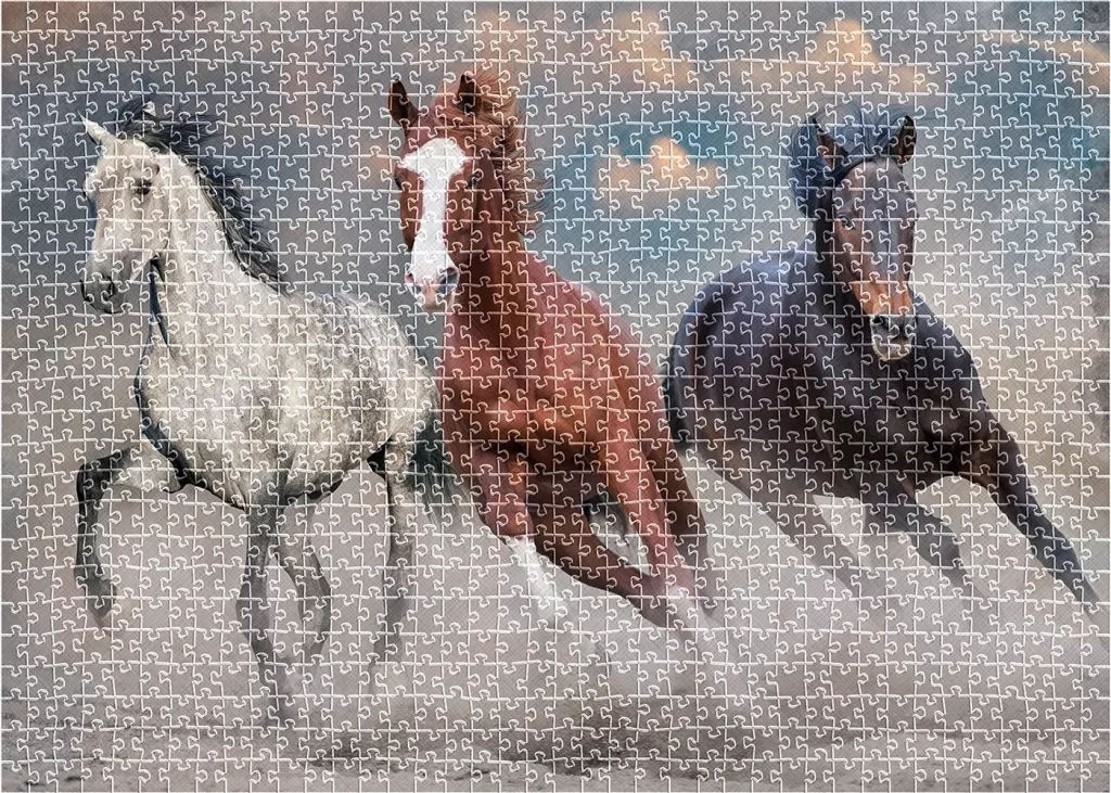 Puzzle 1000 Wild Horses 1 - tantis.pl