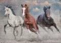 Puzzle 1000 Wild Horses 1 - tantis.pl