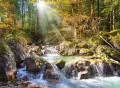 Castorland. Puzzle 2000. Strumyk w lesie - tantis.pl