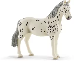 Klacz rasy knabstrupper 13910