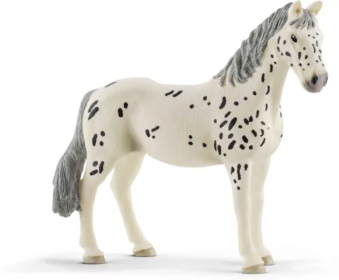 Klacz rasy knabstrupper 13910