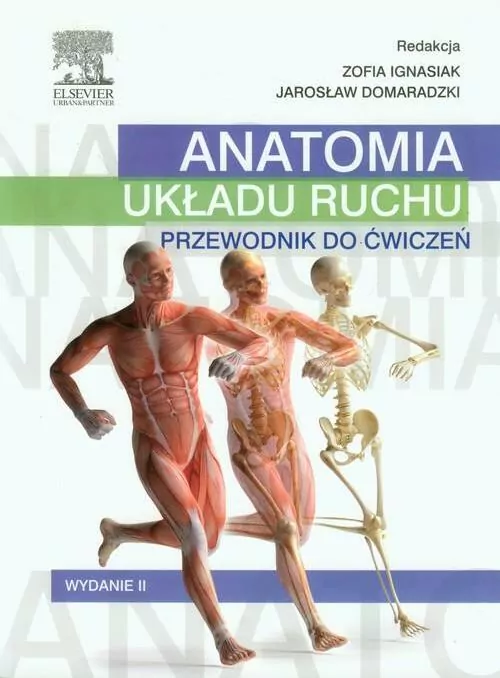 Anatomia układu ruchu. Przewodnik do ćwiczeń - tantis.pl