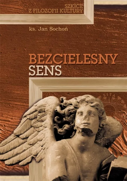 Bezcielesny sens. Szkice z filozofii kultury - tantis.pl
