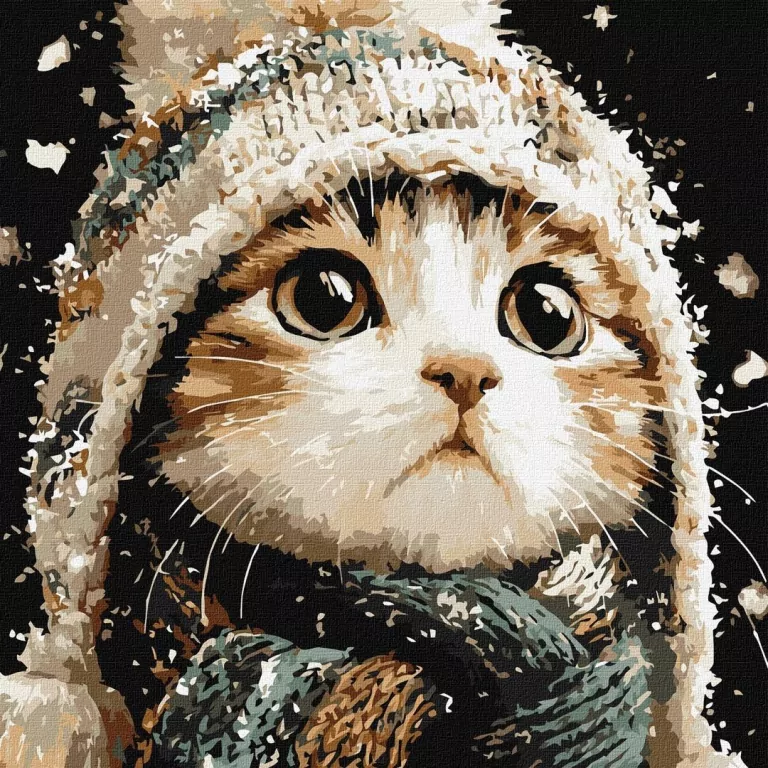 Malowanie po numerach -Śnieżny kotek 40x40cm - tantis.pl