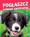 Pogłaszcz domowe zwierzątko. Przytulki - tantis.pl