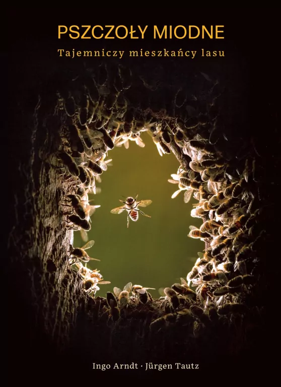 Pszczoły miodne. Tajemniczy mieszkańcy lasu - tantis.pl