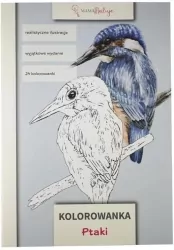 Ptaki. Kolorowanka