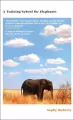 A Training School for Elephants - tantis.pl