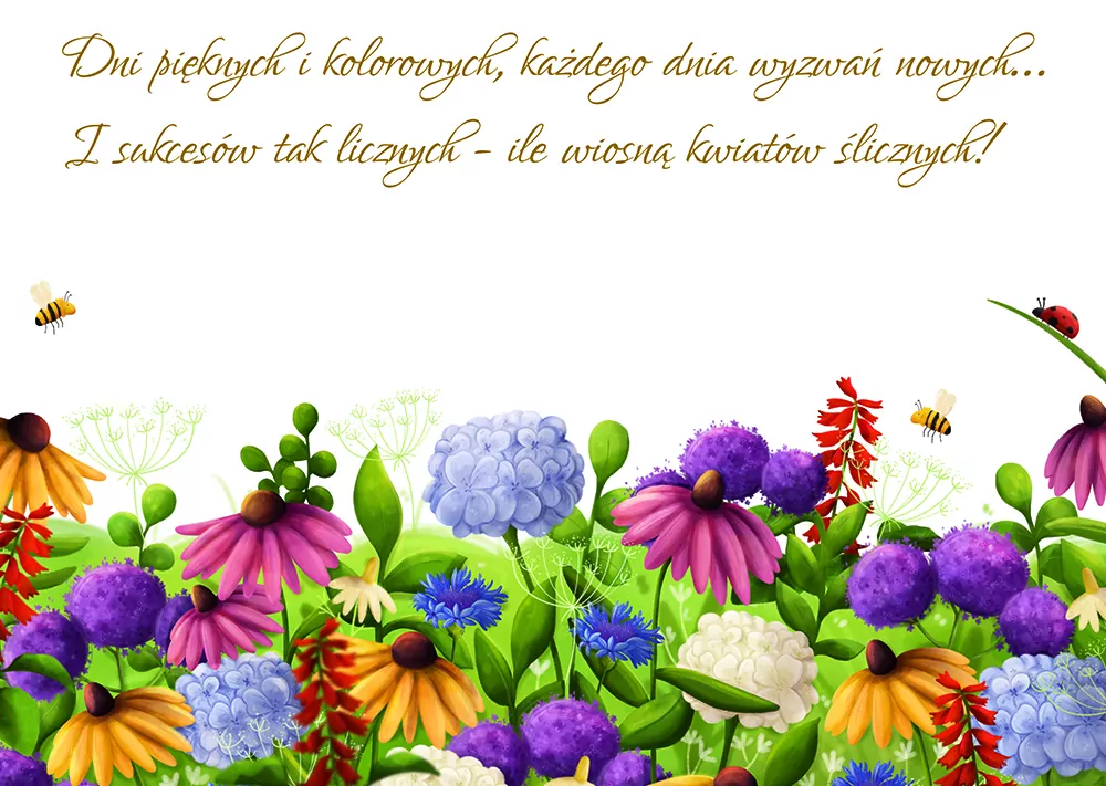 Karnet A5 Bukiet Kolor - tantis.pl