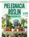 Pielęgnacja roślin pokojowych - tantis.pl