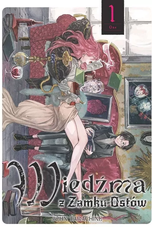 Wiedźma z Zamku Ostów. Tom 1 - tantis.pl
