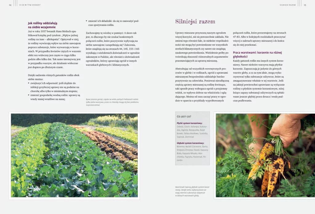 Sekrety ogrodu siostry Christy - tantis.pl