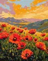 Malowanie po numerach - Cisza wśród maków 40x50cm - tantis.pl