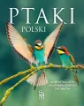 Ptaki Polski - tantis.pl