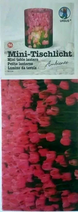 Mini lampiony Ambiente 5 arkuszy 10x27cm - tantis.pl