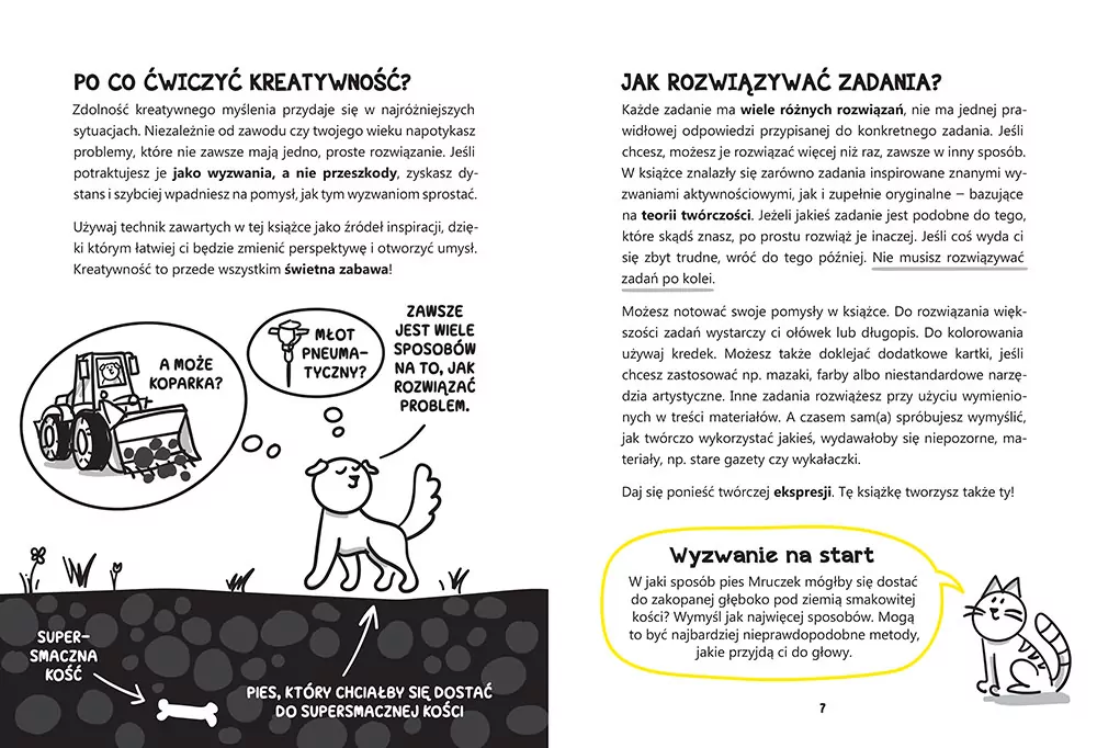 Wymyśl wszystko. Trening kreatywności z zadaniami - tantis.pl
