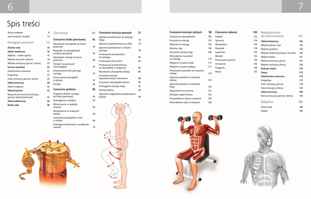 Anatomia ruchu - tantis.pl