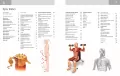 Anatomia ruchu - tantis.pl