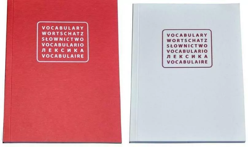 Notes do słówek. Vocabulary. Słownictwo - tantis.pl