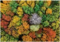 Puzzle 1000 Dzembronya village. Ukraine - tantis.pl