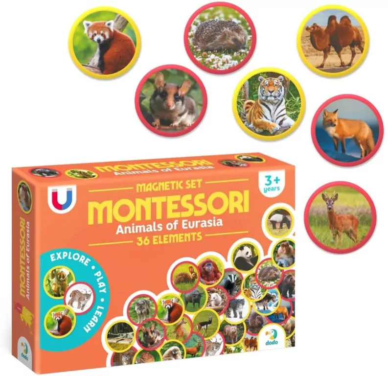 Zestaw magnesów Montessori Zwierzęta Eurazja - tantis.pl