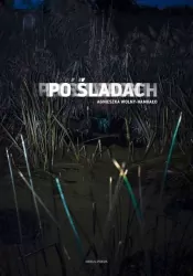 Po śladach
