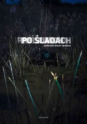 Po śladach