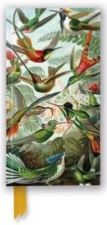 Notatnik linia TW Kolibry Ernst Haeckel - tantis.pl