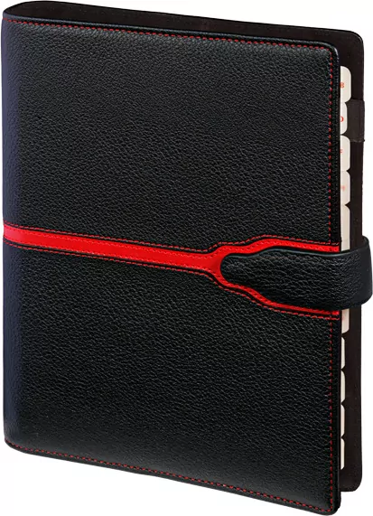 Organizer segregator 17,5x23,5cm - tantis.pl